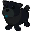 Neon Black Chow-Chow